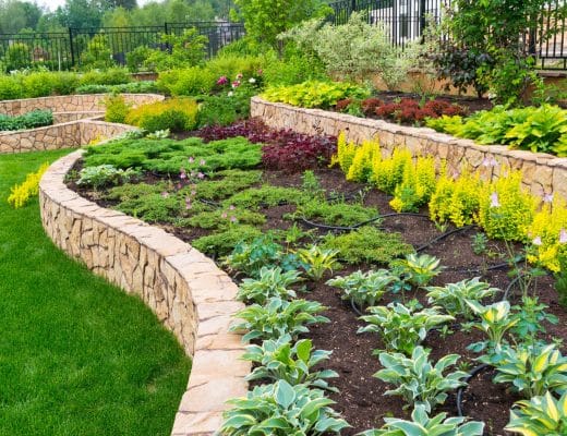 Landscaping Ideas to Compliment Your New Lawn